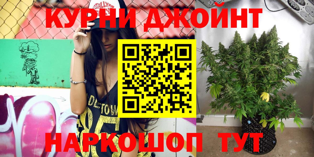 Бошки Шишки ГИДРОПОН Аша